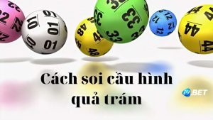 Tìm hiểu về soi cầu quả trám và những điều hấp dẫn